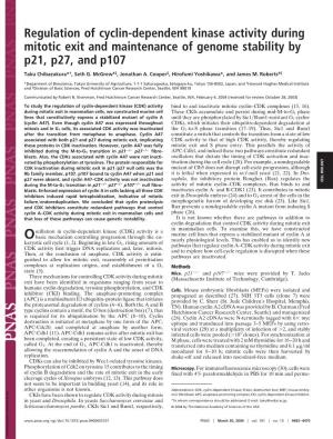 Regulation of Cyclin-Dependent Kinase Activity During Mitotic Exit and Maintenance of Genome Stability by P21, P27, and P107