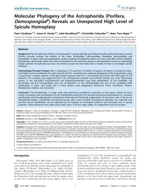 Porifera, Demospongiaep) Reveals an Unexpected High Level of Spicule Homoplasy