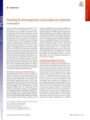 Hunting for Hematopoietic Transcriptional Networks COMMENTARY Kenneth Kaushanskya,1