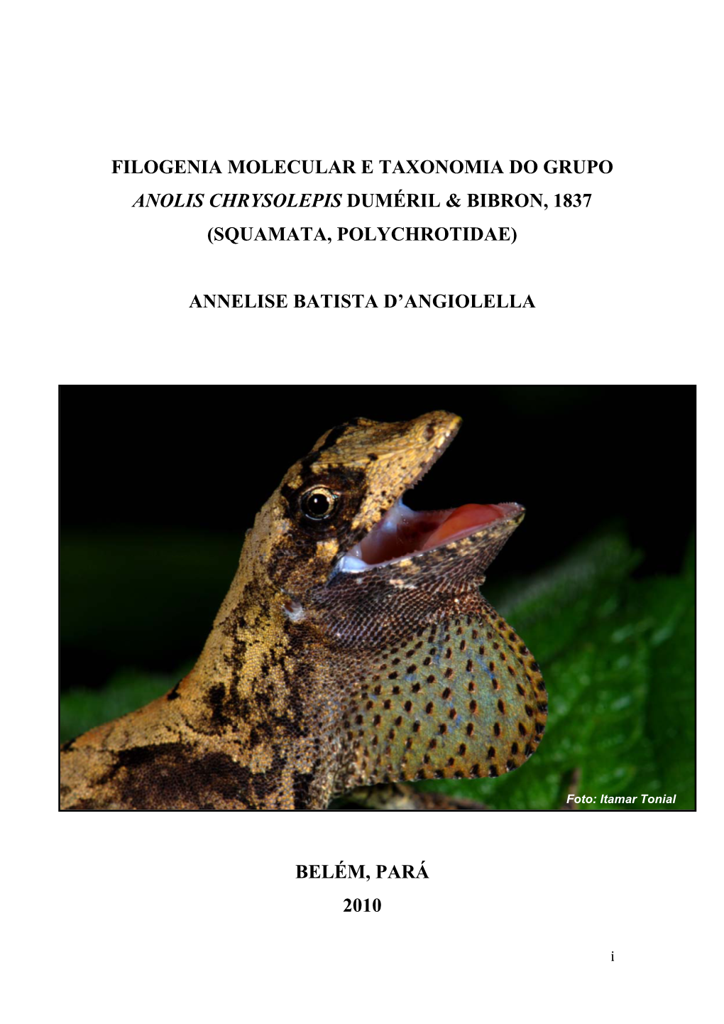 Filogenia Molecular E Taxonomia Do Grupo Anolis Chrysolepis Duméril & Bibron, 1837 (Squamata, Polychrotidae)