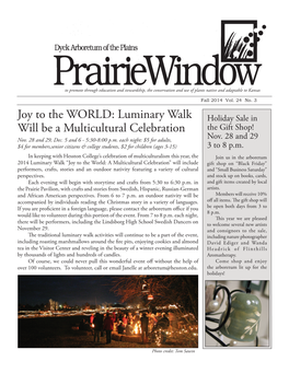 Joy to the WORLD: Luminary Walk Will Be a Multicultural Celebration