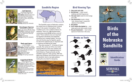 Birds of the Nebraska Sandhills