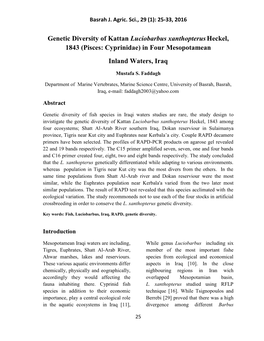 (Pisces: Cyprinidae) in Four Mesopotamean Inland Waters, Iraq