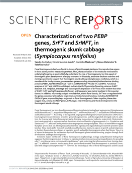 Characterization of Two PEBP Genes, Srft and Srmft, in Thermogenic