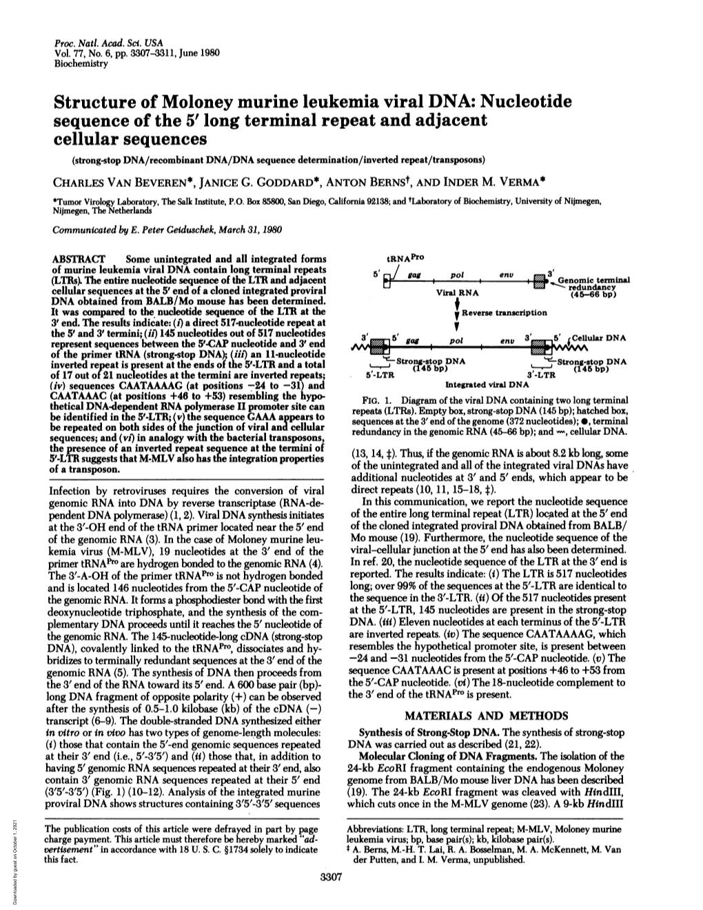 Structure of Moloney Murine Leukemia Viral DNA: Nucleotide Sequence Of