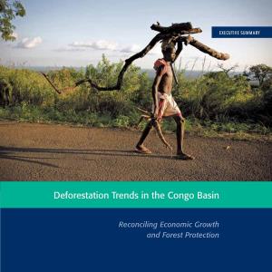 Deforestation Trends in the Congo Basin