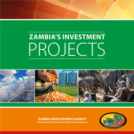Zambia's Investment