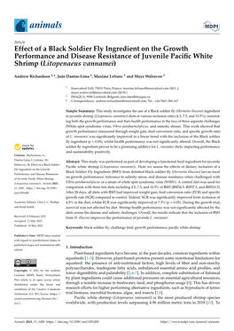 Effect of a Black Soldier Fly Ingredient on the Growth Performance and Disease Resistance of Juvenile Pacific White Shrimp