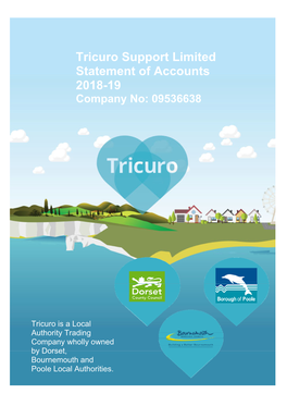 Tricuro Support Limited Statement of Accounts 2018-19 Company No: 09536638
