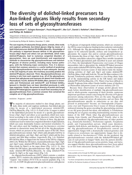 The Diversity of Dolichol-Linked Precursors to Asn-Linked Glycans Likely Results from Secondary Loss of Sets of Glycosyltransferases