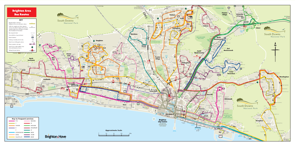 Brighton Clr Cdd with Bus Stops