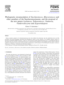 Phylogenetic Circumscription of Saccharomyces, Kluyveromyces