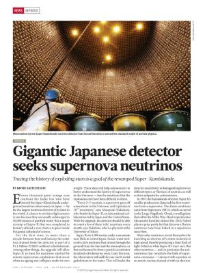 Gigantic Japanese Detector Seeks Supernova Neutrinos Tracing the History of Exploding Stars Is a Goal of the Revamped Super-Kamiokande
