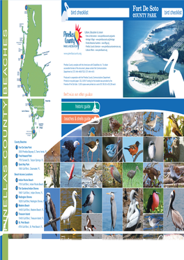 Fort De Soto Bird Checklist Guide