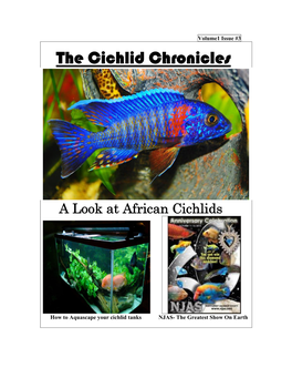 The Cichlid Chronicles
