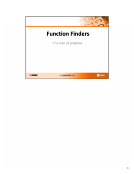 Functionfinderspresnotes.Pdf