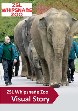 ZSL Whipsnade Zoo Visual Story Before Visiting Whipsnade Zoo