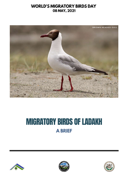 Migratory Birds of Ladakh a Brief Long Distance Continental Migration
