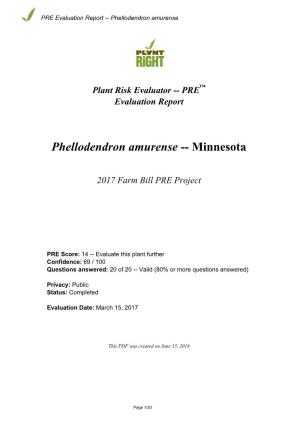 PRE Evaluation Report for Phellodendron Amurense