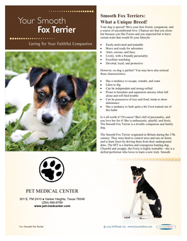 Smooth Fox Terriers: What a Unique Breed! PET MEDICAL CENTER