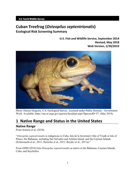 Cuban Treefrog (Osteopilus Septentrionalis) ERSS