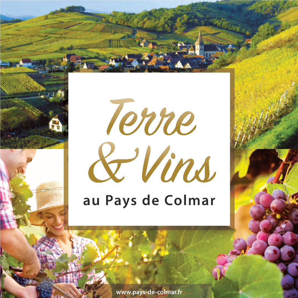 Au Pays De Colmar » the Commitments and Requirements of the Wine Tourism Brand Est Une Destination Touristique Unique Située Sur La Route Des «Vineyards & Excursions»