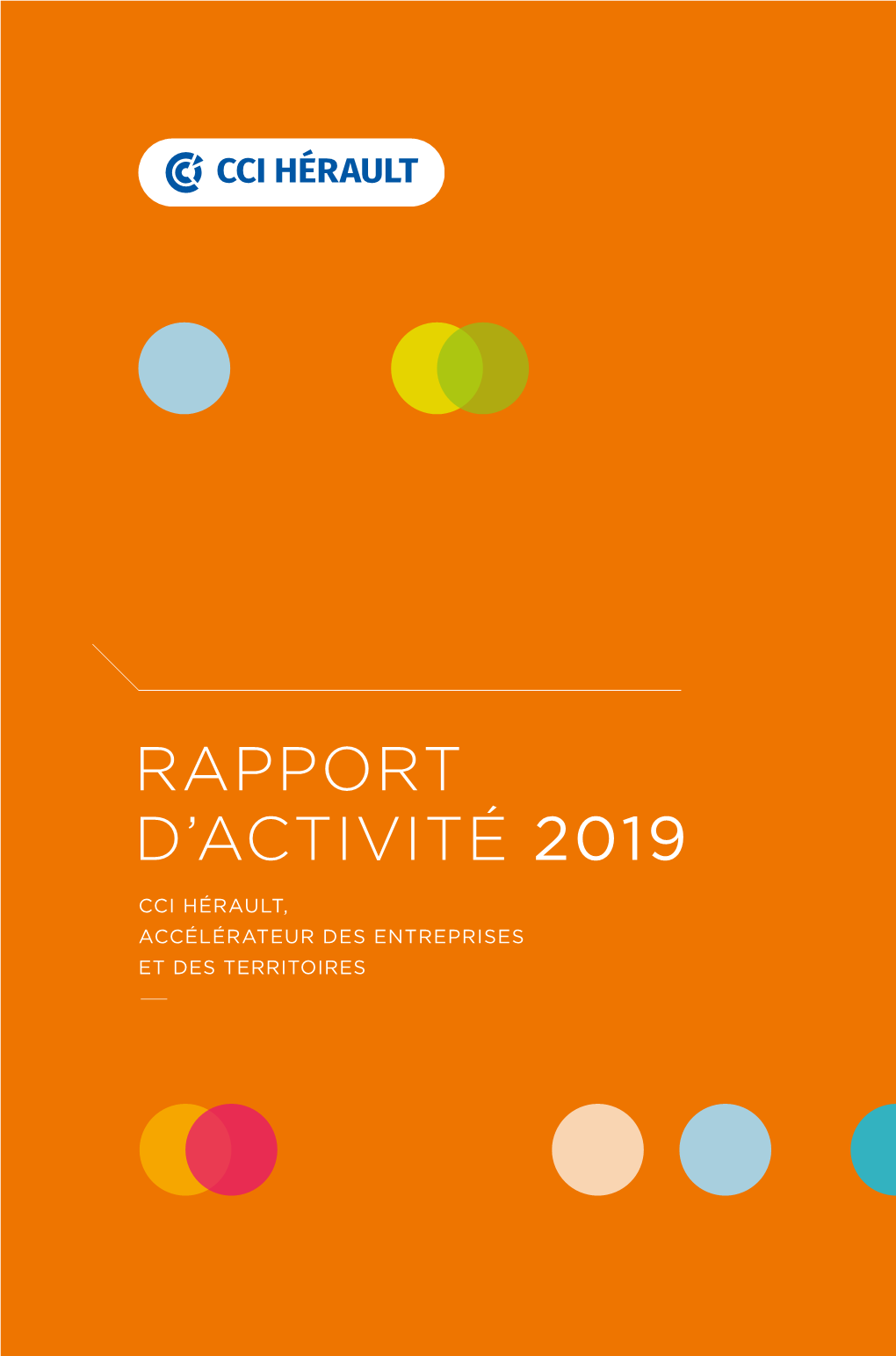 Rapport D'activité 2019