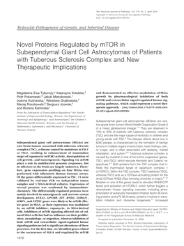 Novel Proteins Regulated by Mtor in Subependymal Giant Cell Astrocytomas of Patients with Tuberous Sclerosis Complex and New Therapeutic Implications
