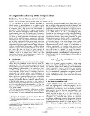 The Sequestration Efficiency of the Biological Pump
