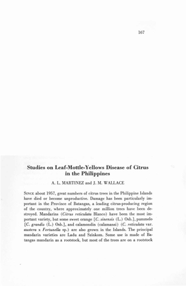 Studies on Leaf-Mottle-Yellows Disease of Citrus in the Philippines