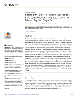 Effects of the Blob on Settlement of Spotted Sand Bass, Paralabrax Maculatofasciatus, to Mission Bay, San Diego, CA