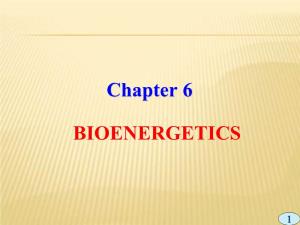 Chapter 6 BIOENERGETICS
