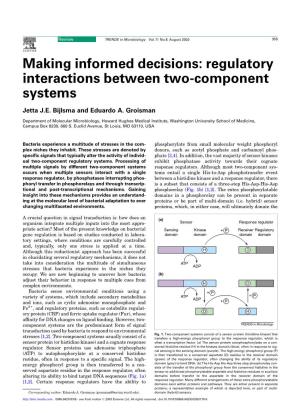 Making Informed Decisions: Regulatory Interactions Between Two-Component Systems