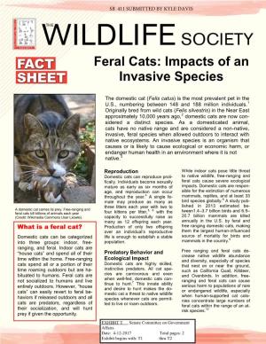 Feral Cats: Impacts of an Invasive Species