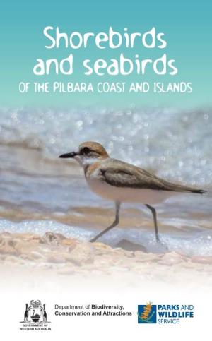 Pilbara Shorebirds and Seabirds