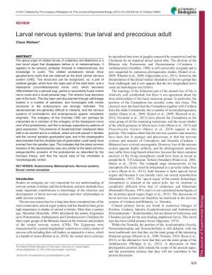 Larval Nervous Systems