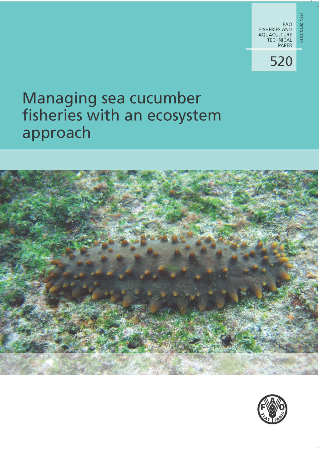 Sea Cucumber.Pdf