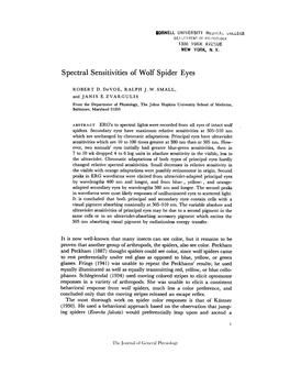 Spectral Sensitivities of Wolf Spider Eyes