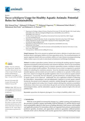 Yucca Schidigera Usage for Healthy Aquatic Animals: Potential Roles for Sustainability