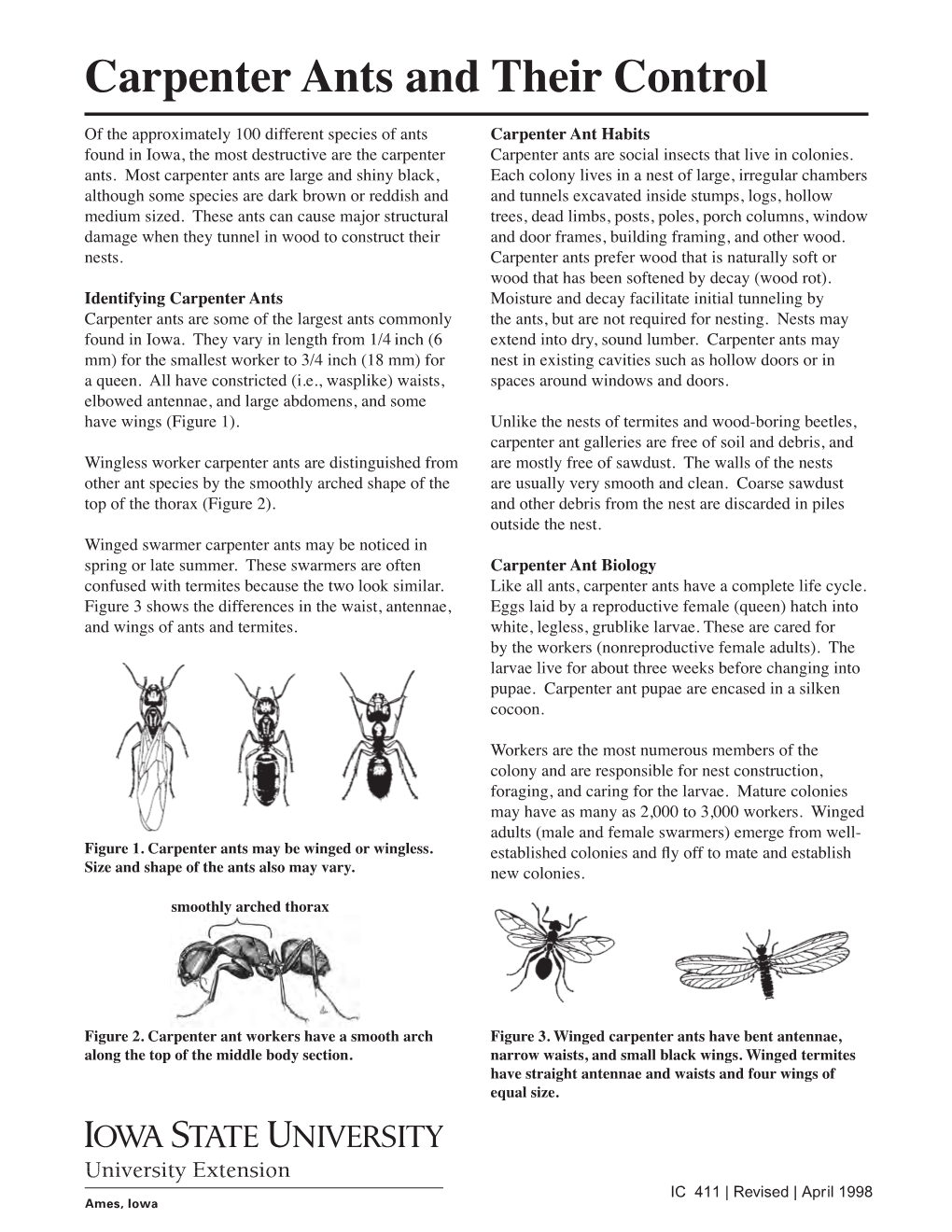 Carpenter Ants and Their Control