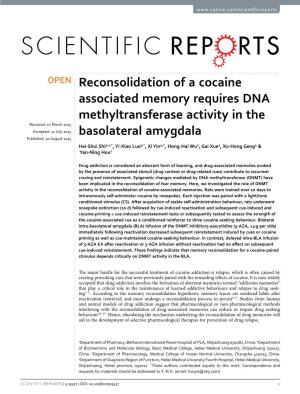 Reconsolidation of a Cocaine Associated Memory Requires DNA
