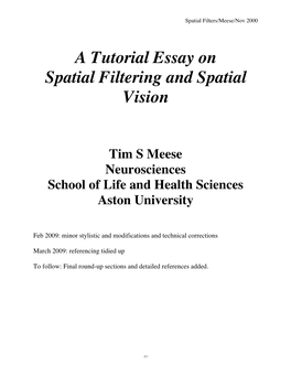 A Tutorial Essay on Spatial Filtering and Spatial Vision