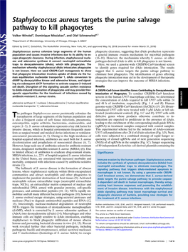 Staphylococcus Aureus Targets the Purine Salvage Pathway to Kill Phagocytes