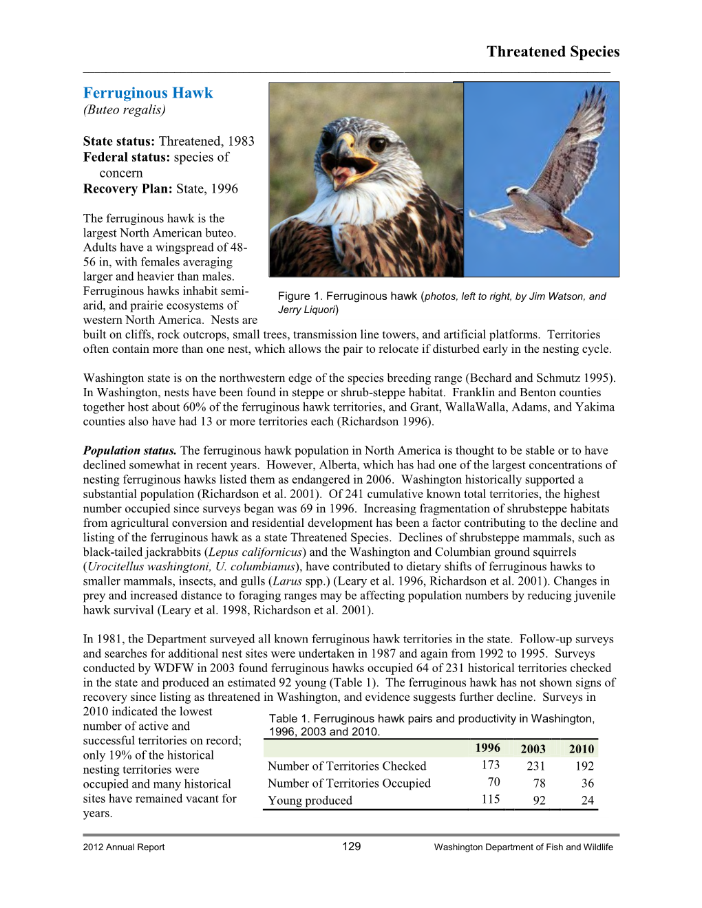 Ferruginous Hawk Facts