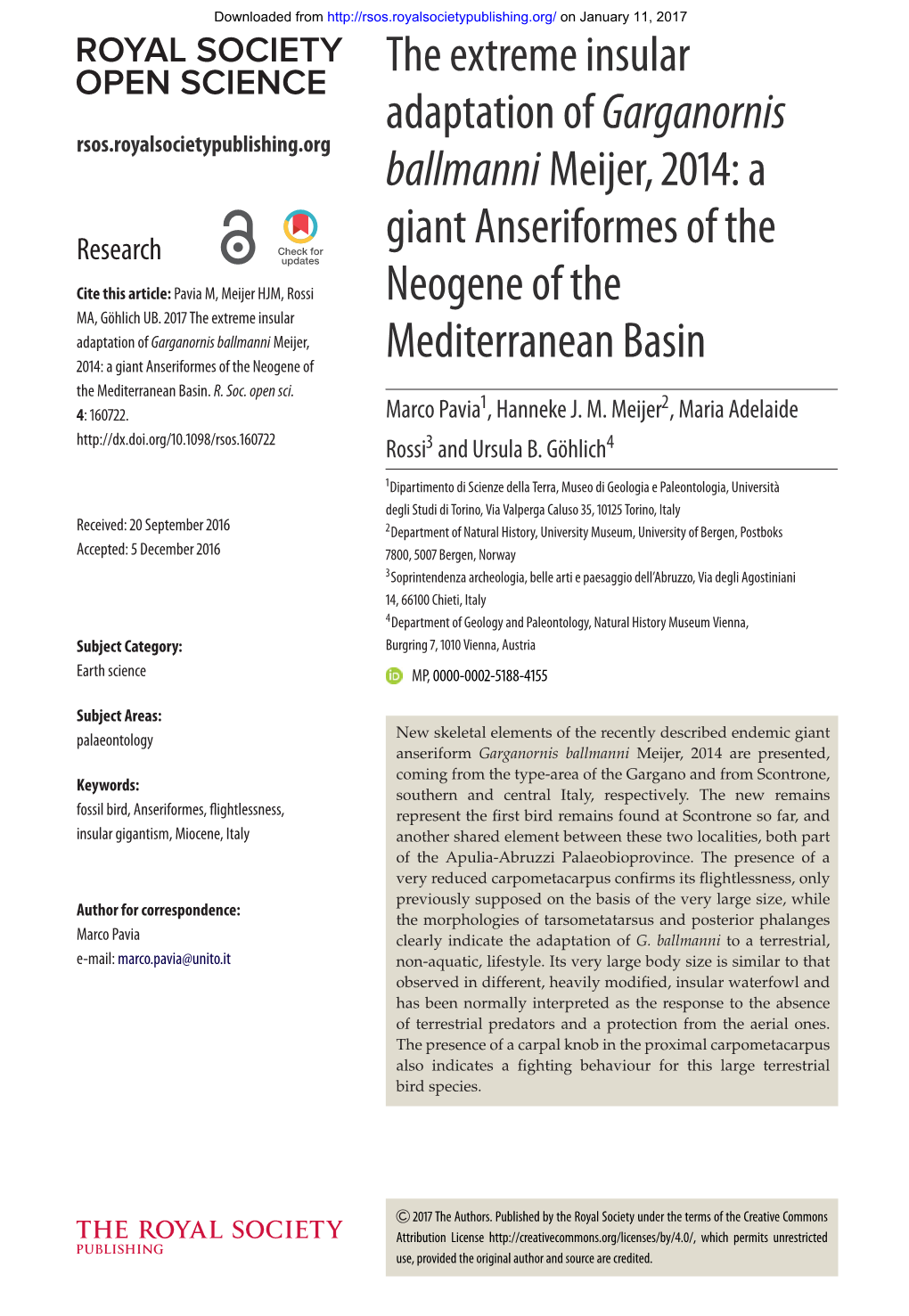 A Giant Anseriformes of the Neogene of The