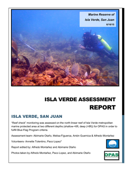 Report Isla Verde, San Juan