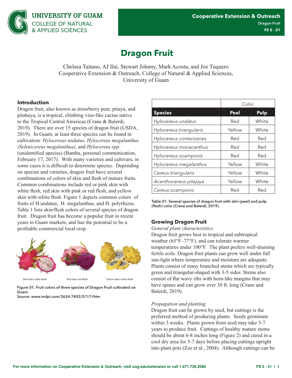 Dragon Fruit & APPLIED SCIENCES FS 5 - 21