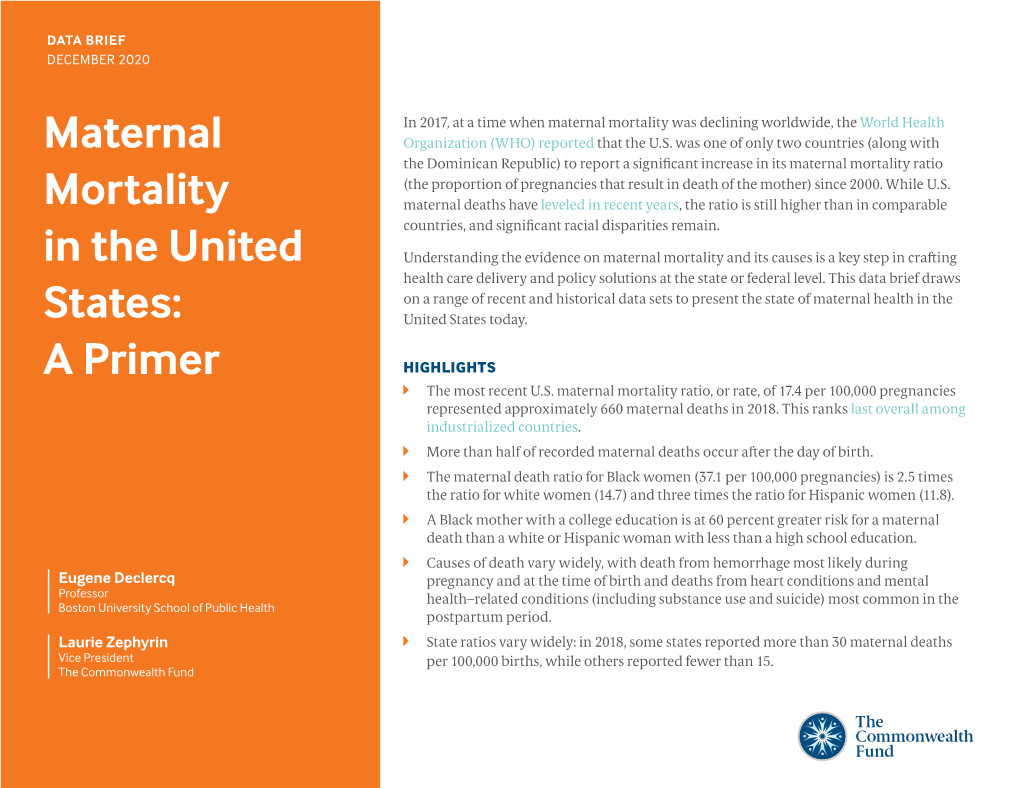 Maternal Mortality in the United States: a Primer 2