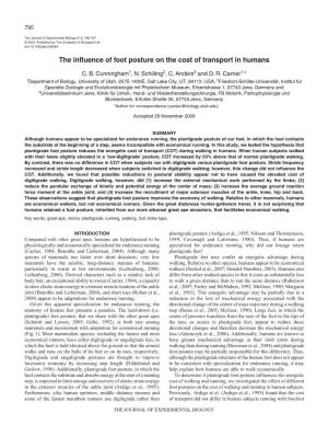 The Influence of Foot Posture on the Cost of Transport in Humans