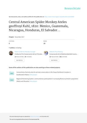 Central American Spider Monkey Ateles Geoffroyi Kuhl, 1820: Mexico, Guatemala, Nicaragua, Honduras, El Salvador